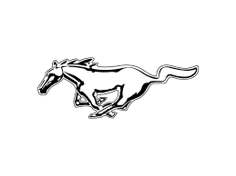 My Custom Logo